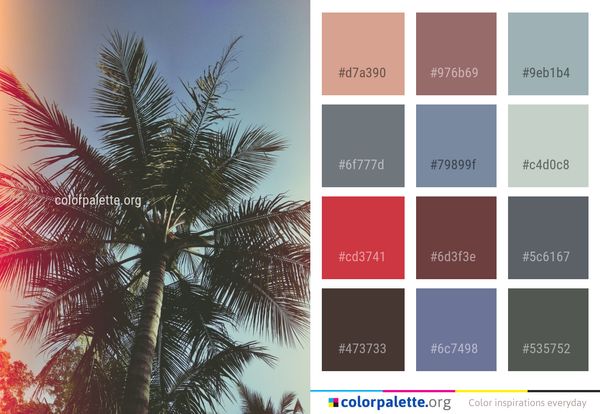 Sky Tree Palm Color Palette