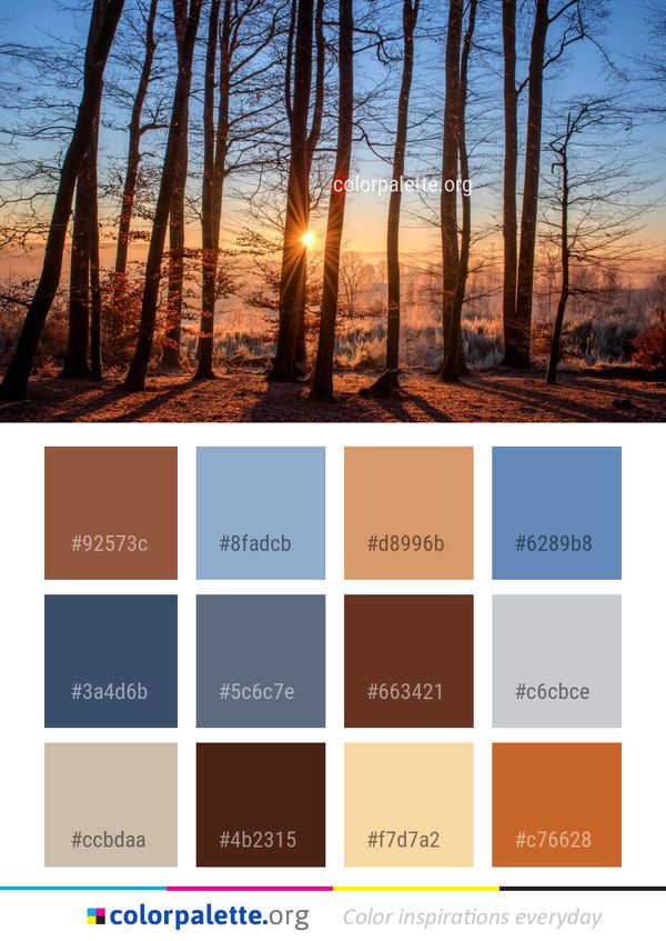 Tree Sky Forest Color Palette