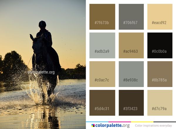 Water Reflection Sky Color Palette