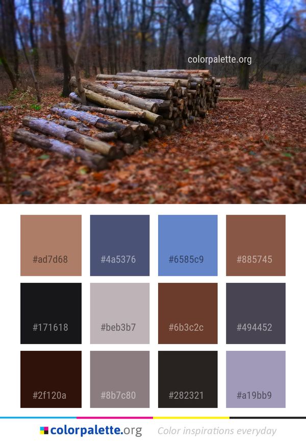 Woodland Forest Wood Color Palette