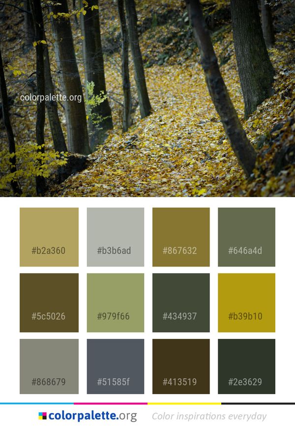 Woodland Nature Yellow Color Palette