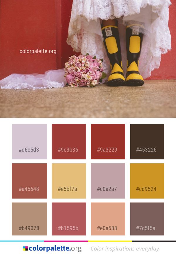 Yellow Pink Flower Color Palette