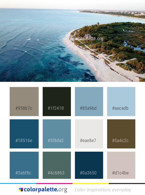 Coast Sea Coastal And Oceanic Landforms Color Palette
