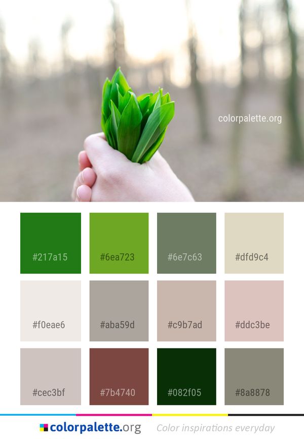 Green Plant Flower Color Palette