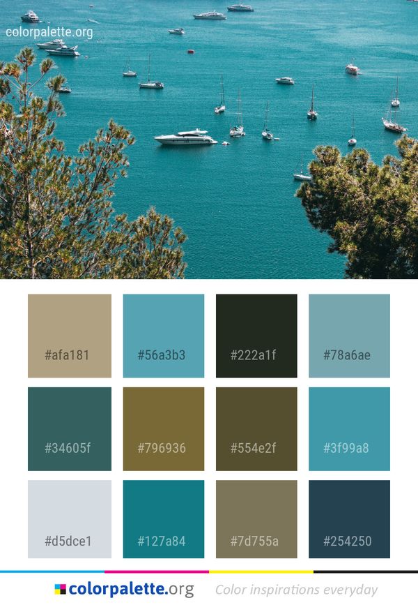 Sea Body Of Water Coast Color Palette