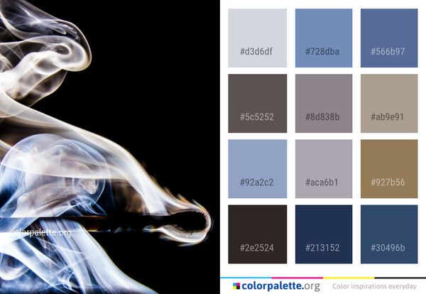 Smoke Water Organism Color Palette