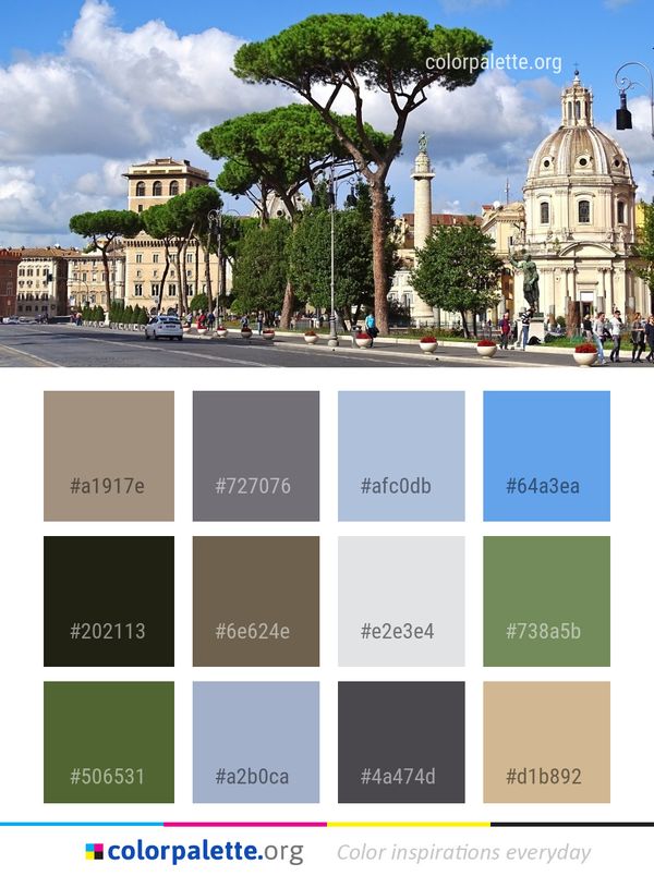 Tree Sky Woody Plant Color Palette