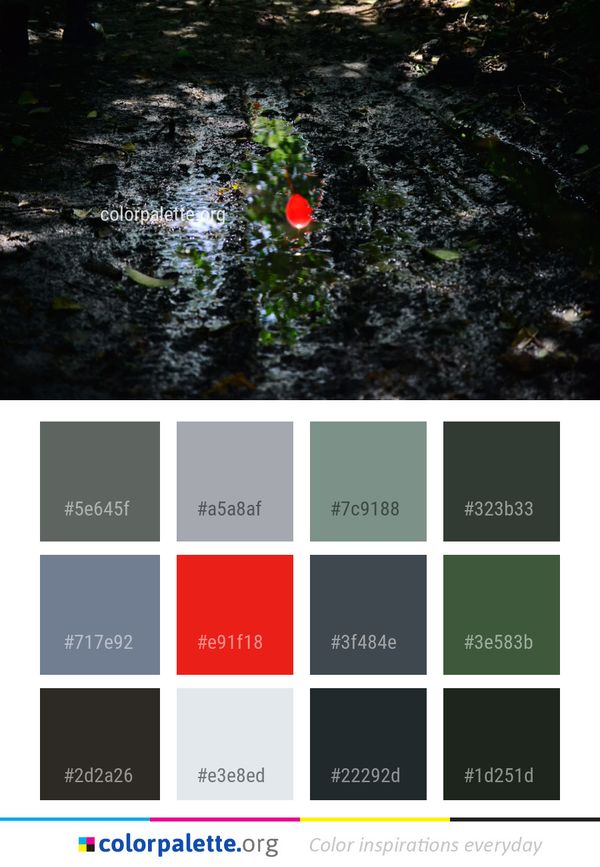 Water Reflection Leaf Color Palette