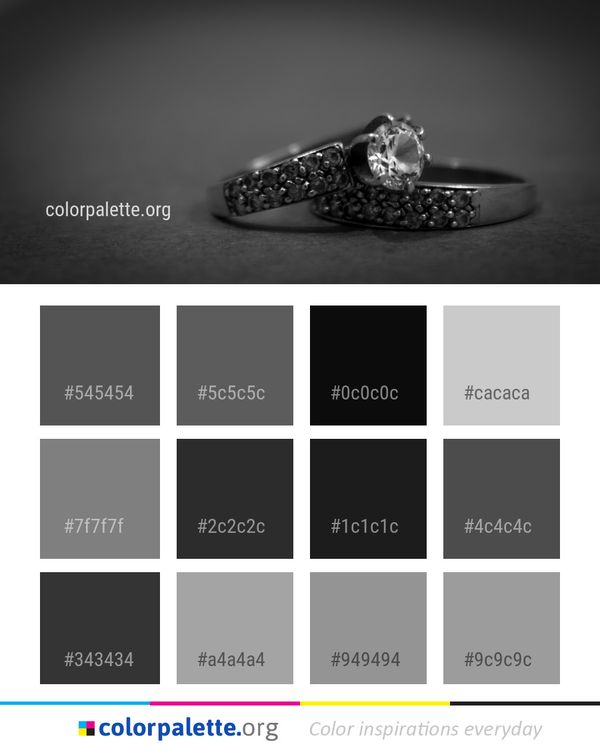 Black And White Ring Color Palette