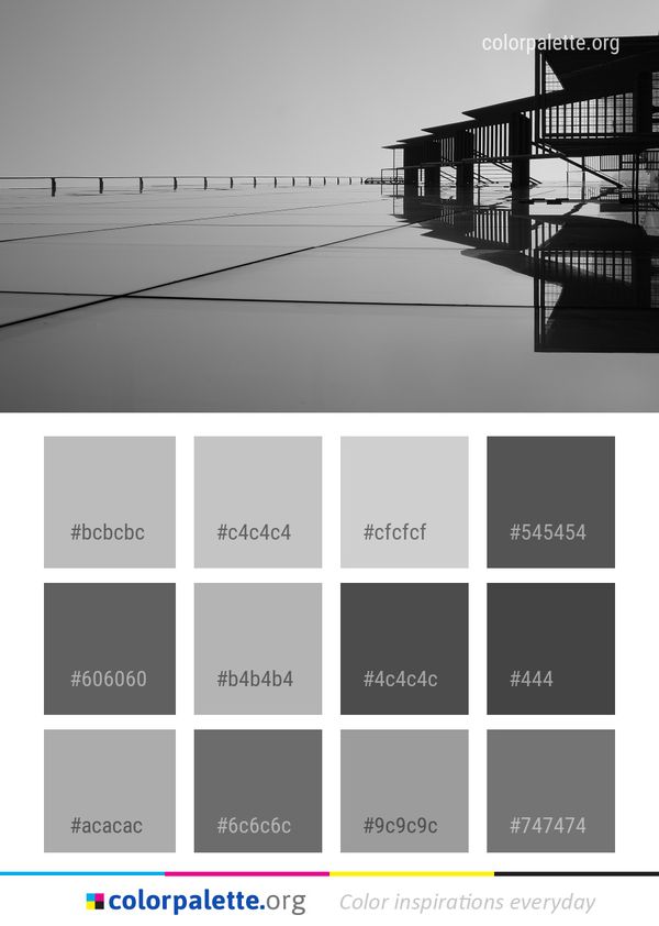 Black Reflection And White Color Palette