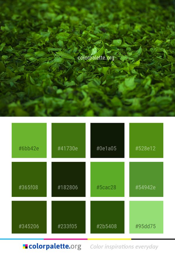 Green Grass Plant Color Palette