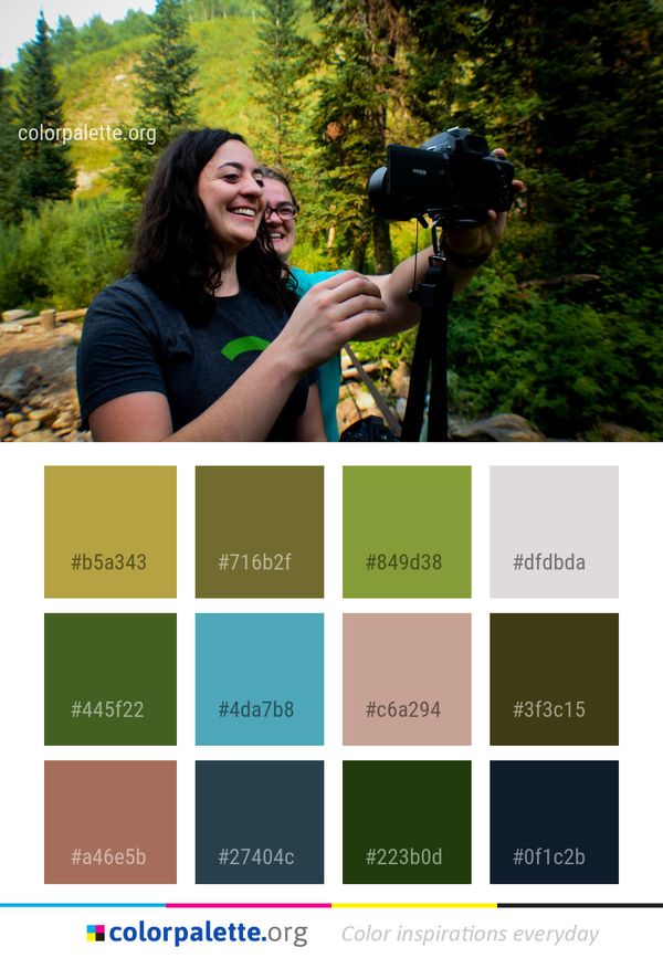 Tree Nature Woody Plant Color Palette
