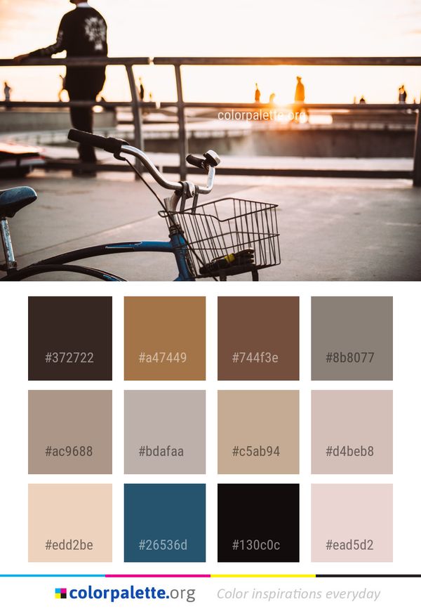 Water Vehicle Recreation Color Palette