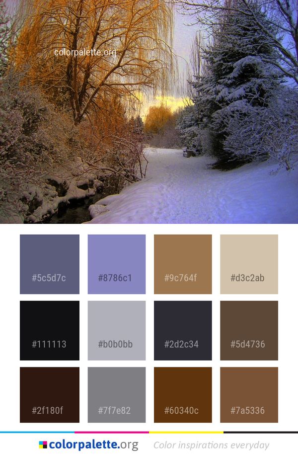 Winter Snow Nature Color Palette