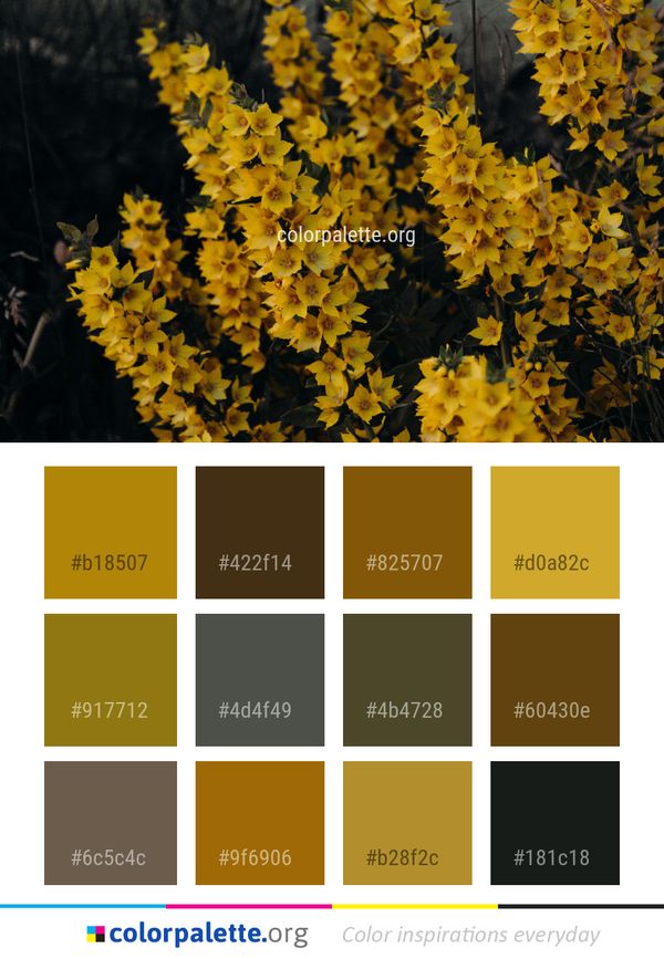 Yellow Plant Flora Color Palette