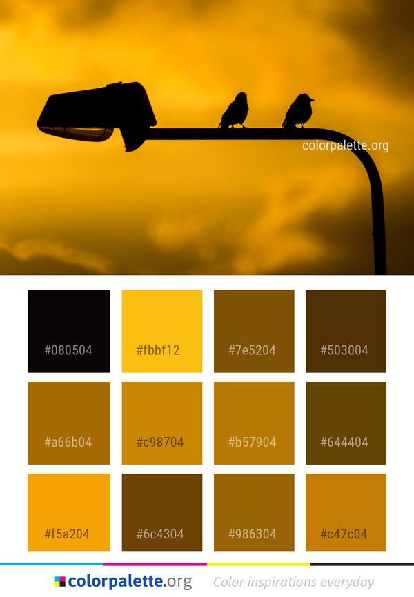 Yellow Sky Beak Color Palette