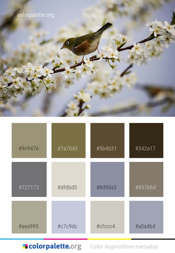 Bird Blossom Fauna Color Palette