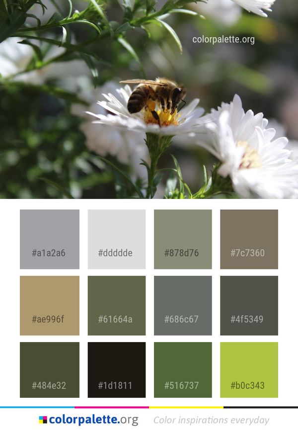 Flower Bee Honey Color Palette