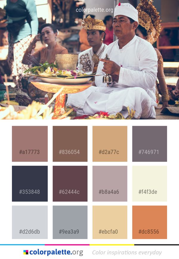 Food Meal Cuisine Color Palette