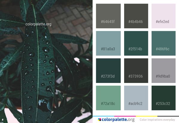 Green Leaf Plant Color Palette