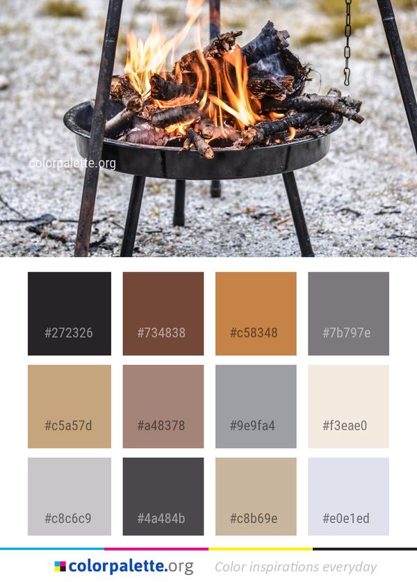 Grilling Barbecue Meat Color Palette