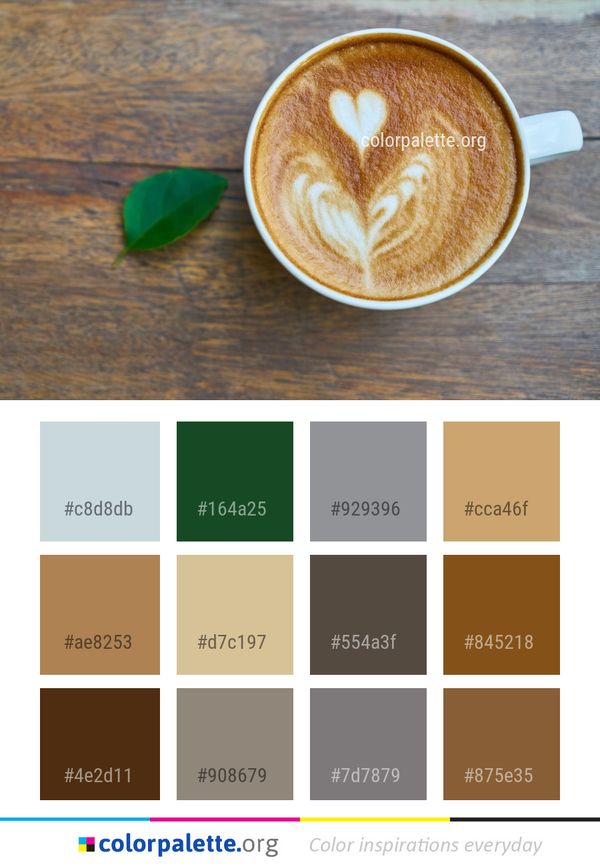 Latte Coffee Flat White Color Palette