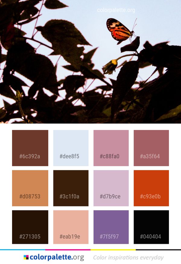 Moths And Butterflies Butterfly Insect Color Palette