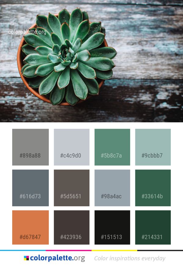 Plant Flora Flower Color Palette