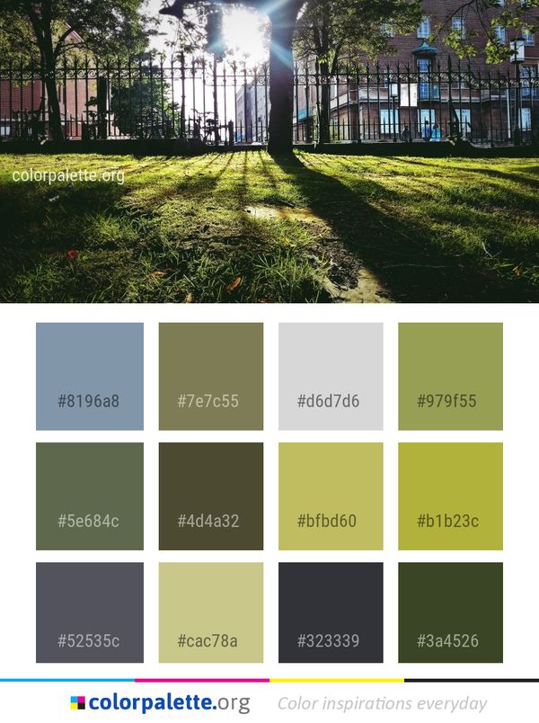 Property Grass Lawn Color Palette