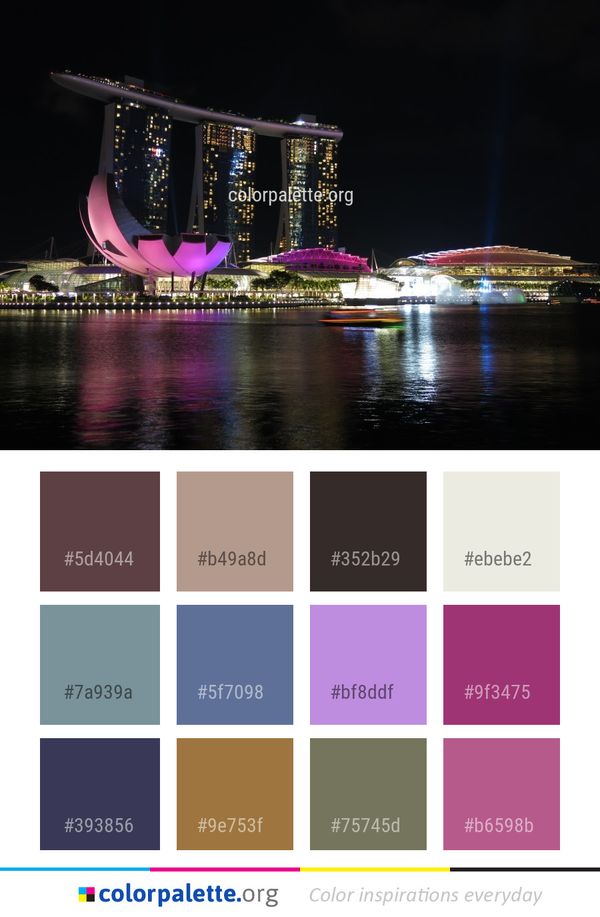 Reflection Night Landmark Color Palette