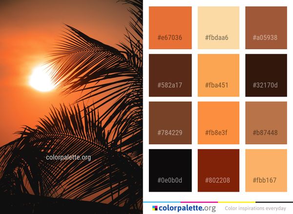 Sky Arecales Palm Tree Color Palette