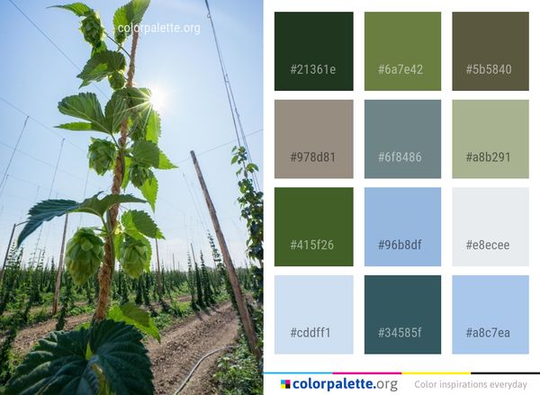 Vegetation Agriculture Plant Color Palette