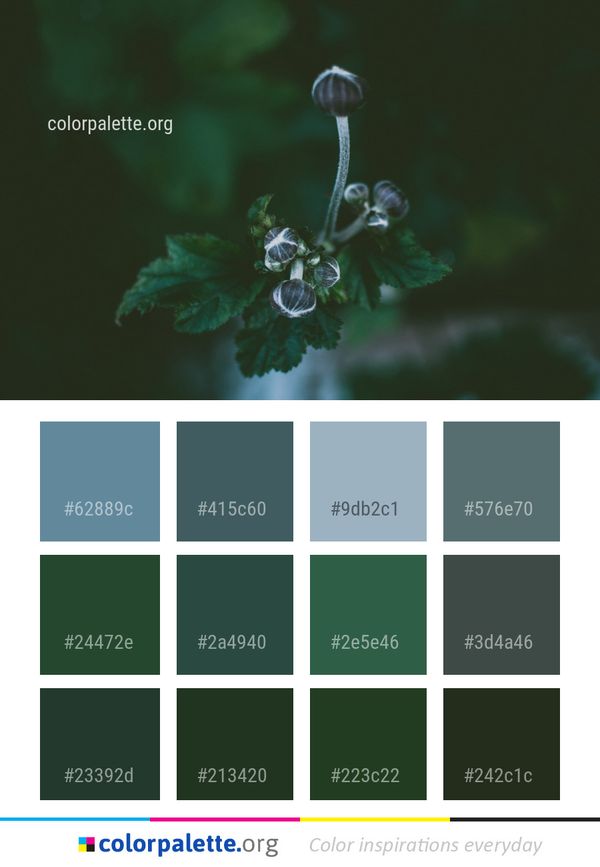Water Flora Macro Photography Color Palette
