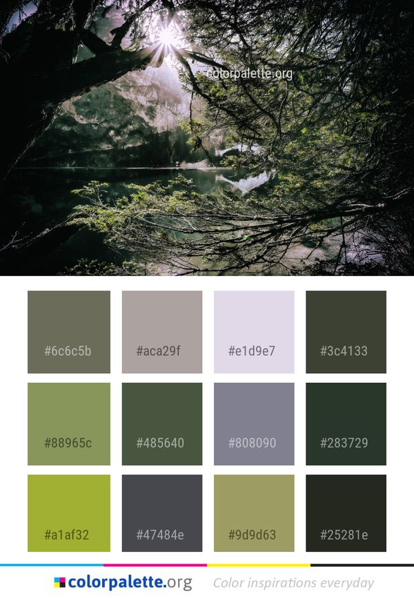Water Nature Body Of Color Palette