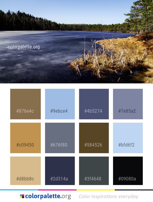 Water Nature Reflection Color Palette