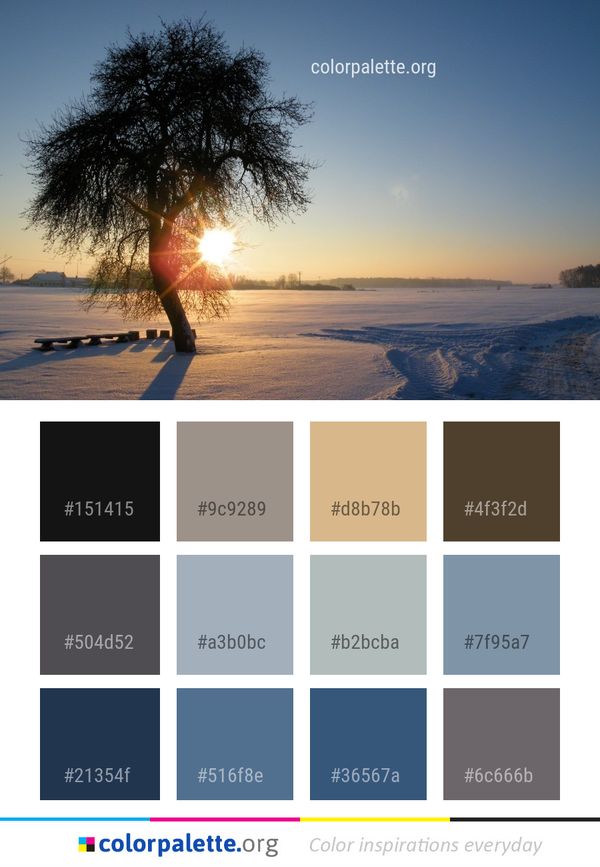 Winter Snow Sky Color Palette