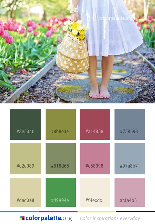 Yellow Pink Flower Color Palette