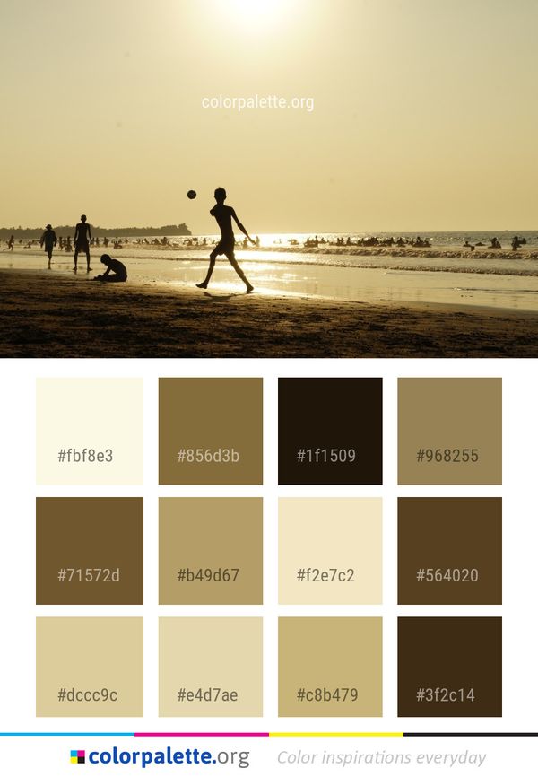 Beach Sea Body Of Water Color Palette