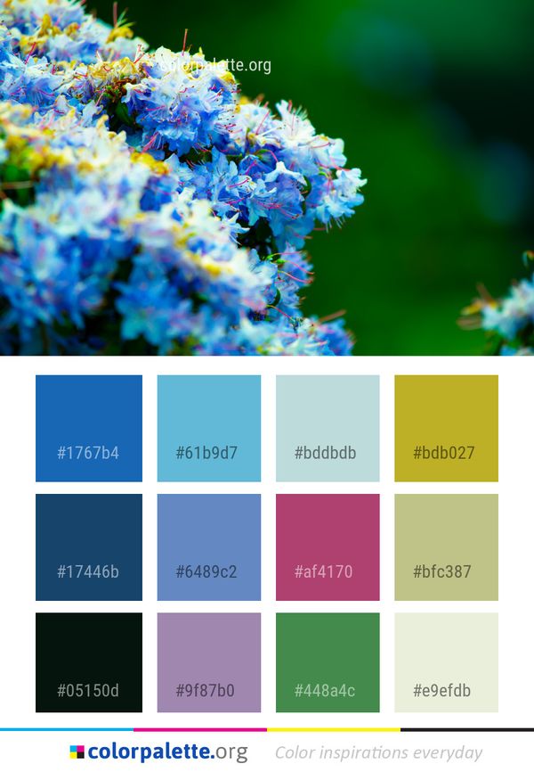 Blue Flower Lilac Color Palette