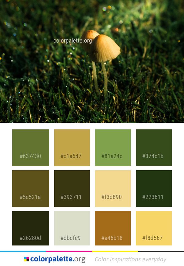 Grass Leaf Mushroom Color Palette