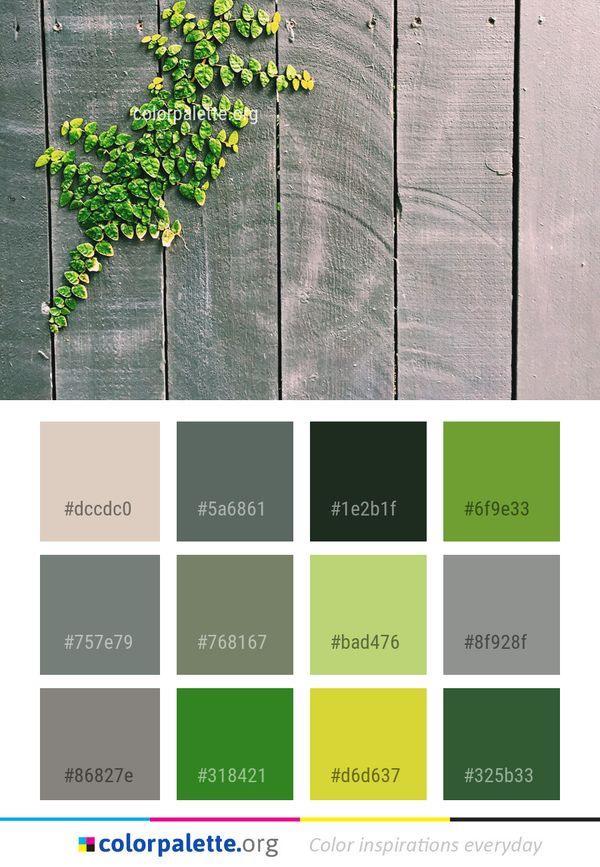Green Leaf Plant Color Palette
