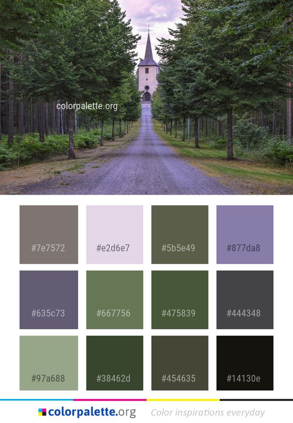 Nature Tree Path Color Palette