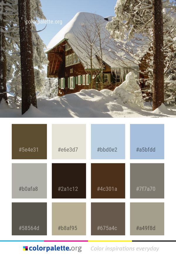 Snow Winter Home Color Palette
