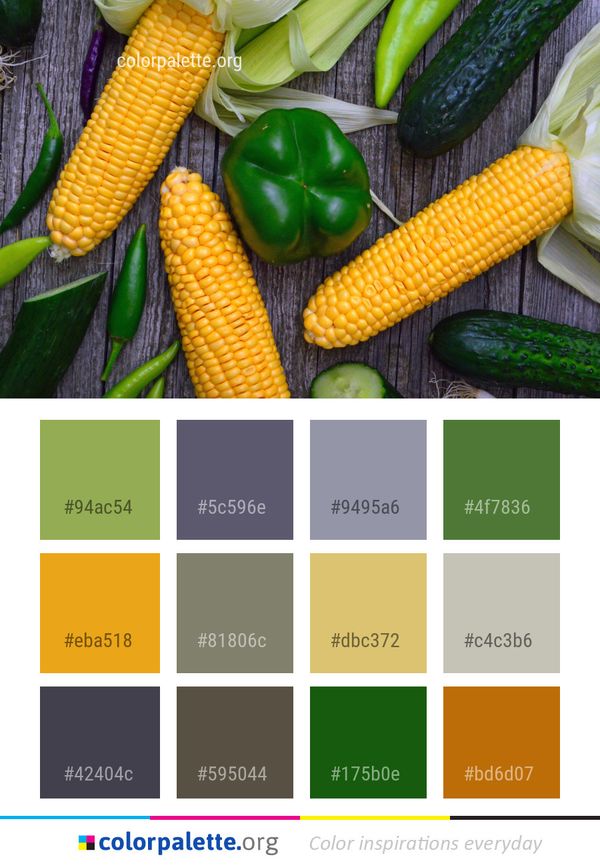 Vegetable Sweet Corn On The Cob Color Palette