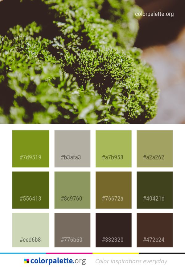 Vegetation Plant Leaf Color Palette