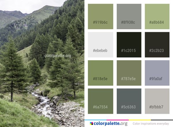 Wilderness Ecosystem Highland Color Palette