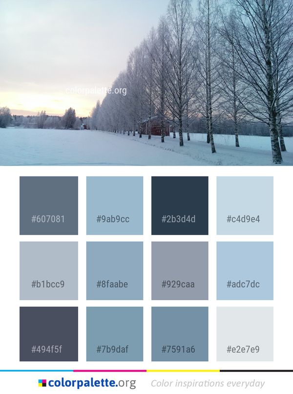 Winter Snow Tree Color Palette