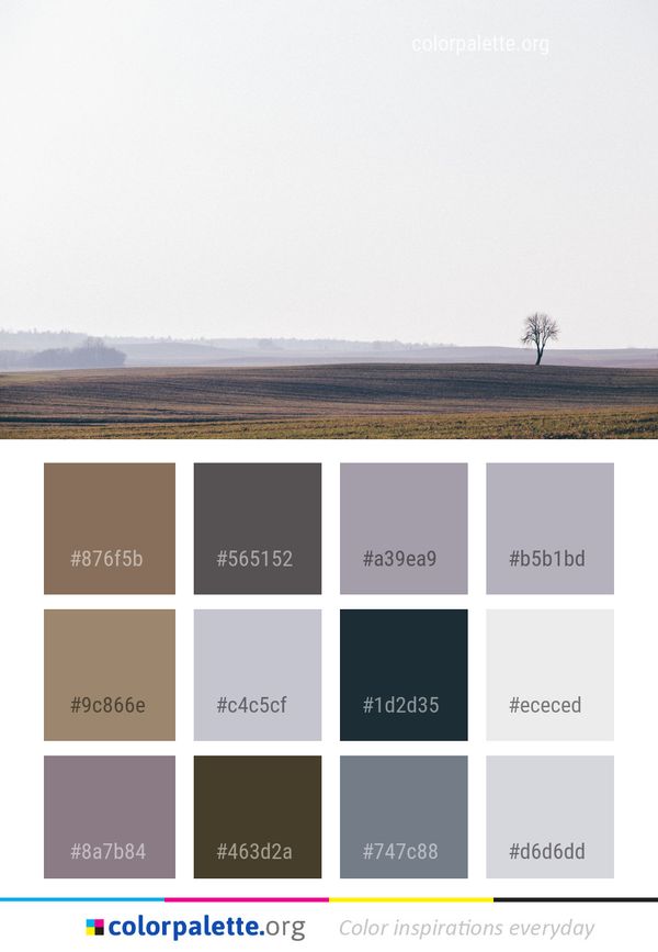 Ecosystem Sky Horizon Color Palette