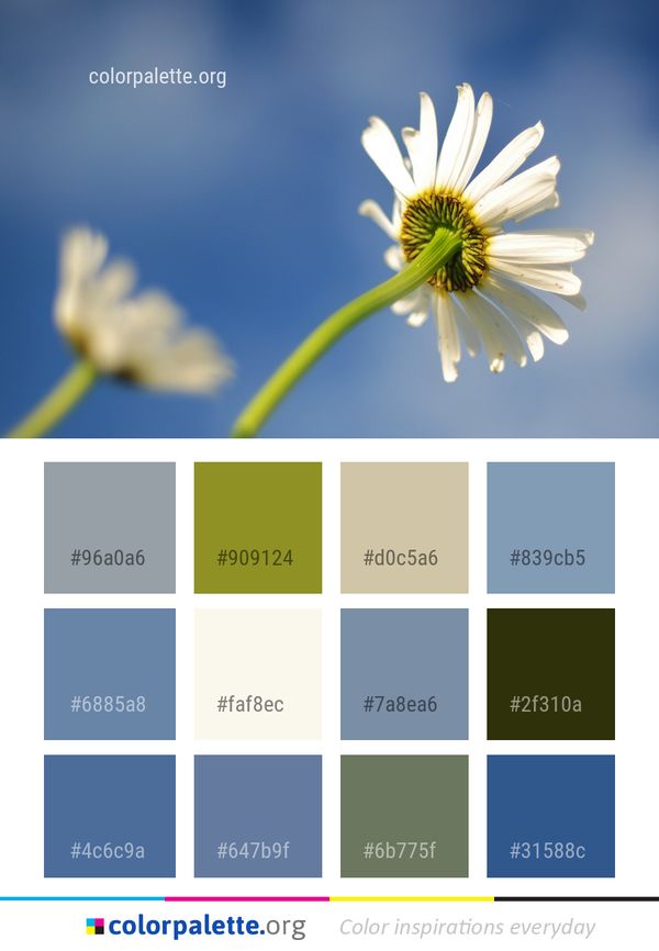 Flower Yellow Sky Color Palette