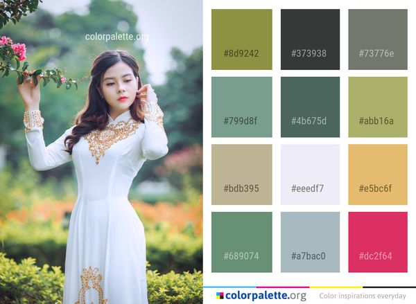 Gown Beauty Skin Color Palette
